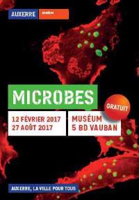 Microbes. Du 12 février au 27 août 2017 à AUXERRE. Yonne.  13H30